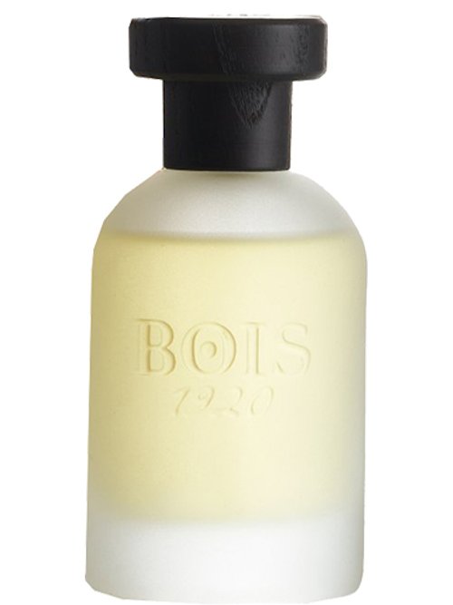 Classic Paradise by Bois 1920