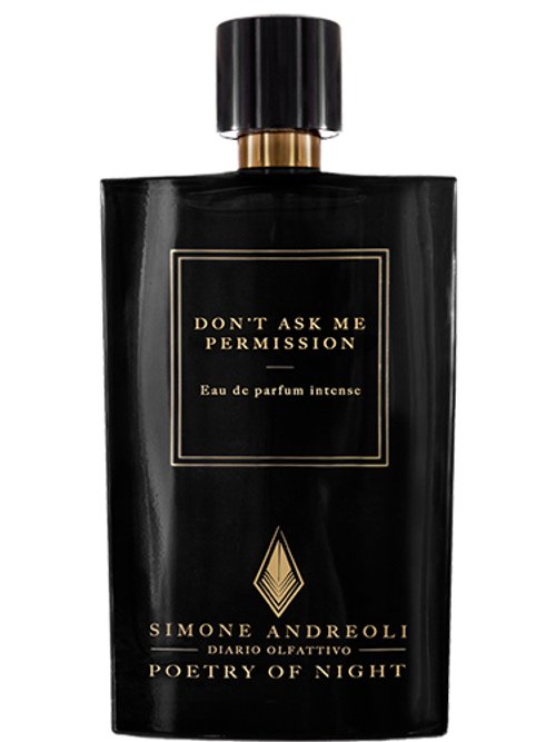 Don'T Ask Me Permission by Simone Andreoli