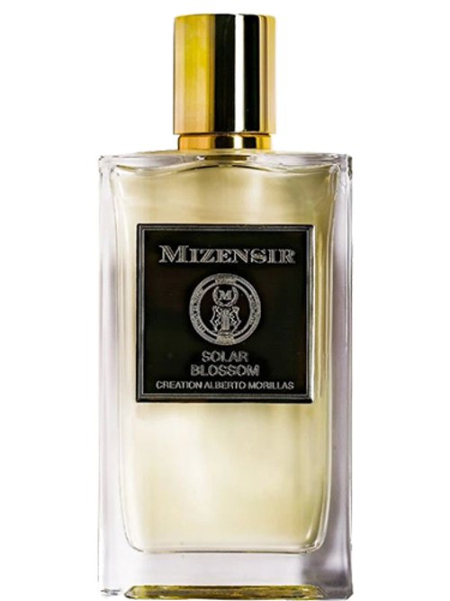 Solar Blossom by Mizensir