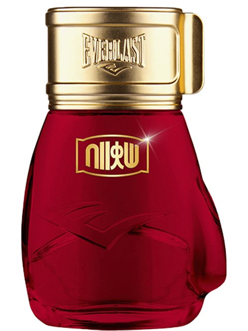 Choice Of Champions Street Fighter Hadouken by Everlast