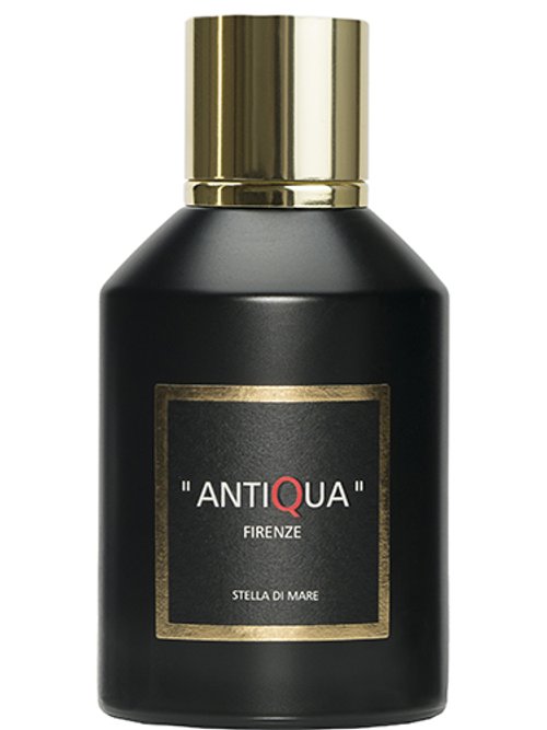Stella Di Mare by Antiqua Firenze