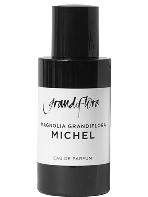 Michel Magnolia by Grandiflora