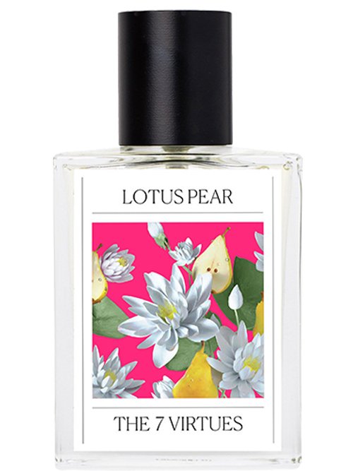 Lotus Pear by The 7 Virtues