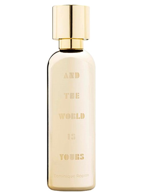 And The World Is Yours by A Lab On Fire