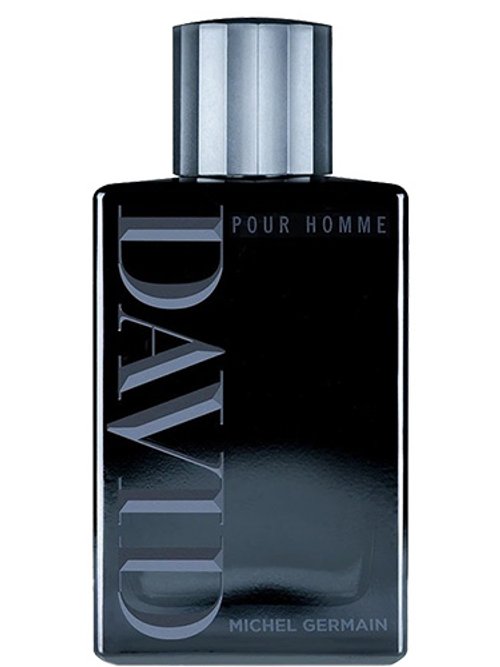 David Pour Homme by Michel Germain
