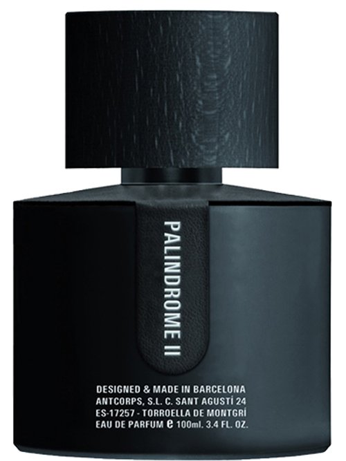 Palindrome Ii by Santi Burgas