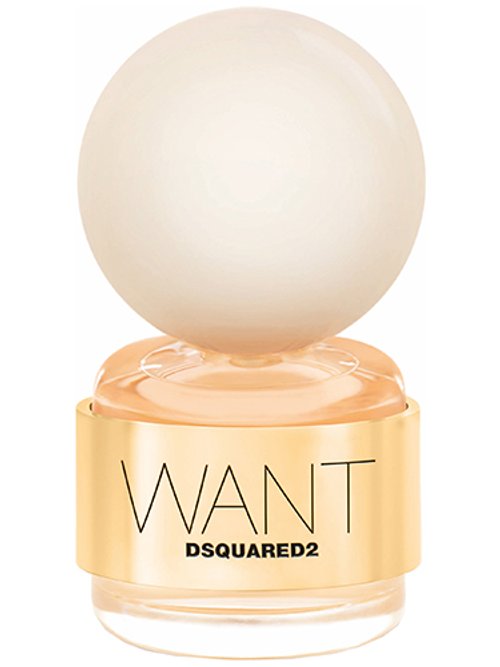 Dsquared2 Want by Dsquared2