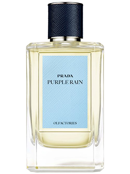 Purple Rain by Prada