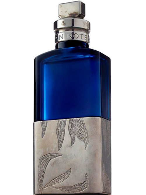 Voodoo Chile by Dries Van Noten