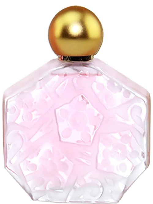 Rose by Jean-Charles Brosseau