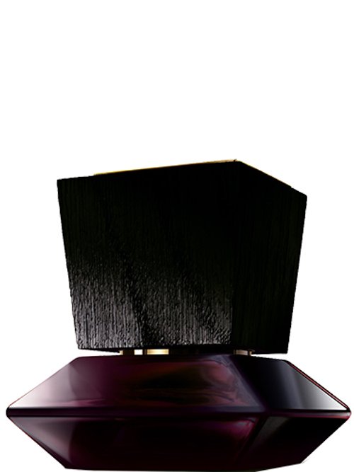 Freesia by Adolfo Dominguez