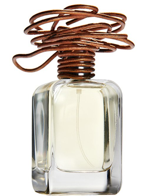 Lacura by Mendittorosa