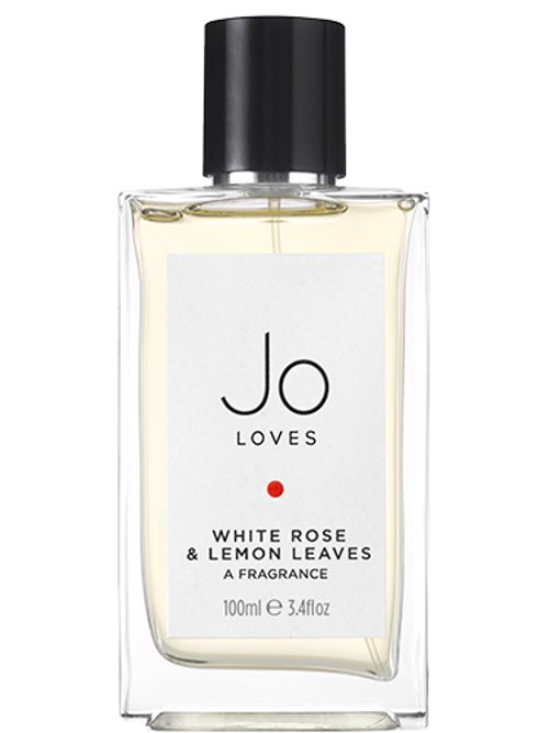 White Rose & Lemon Leaves by Jo Loves
