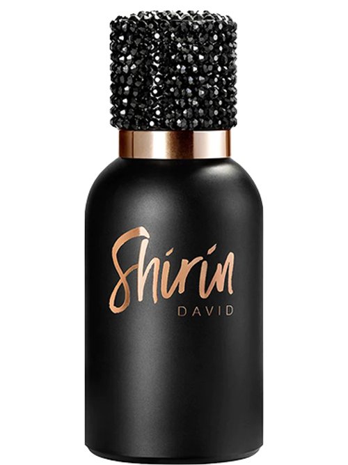 Created By Shirin by Shirin David