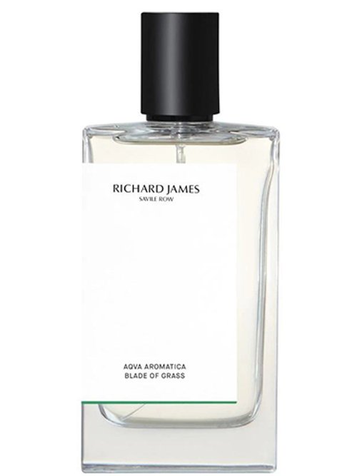 Blade Of Grass by Richard James