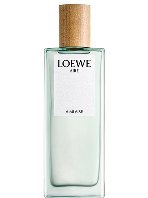 A Mi Aire Loewe by Loewe