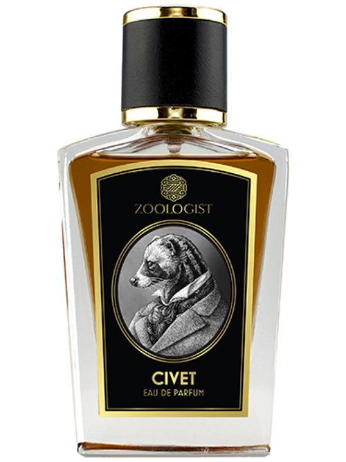 Civet by Zoologist
