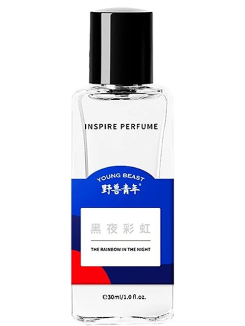 The Rainbow In The Night by Young Beast