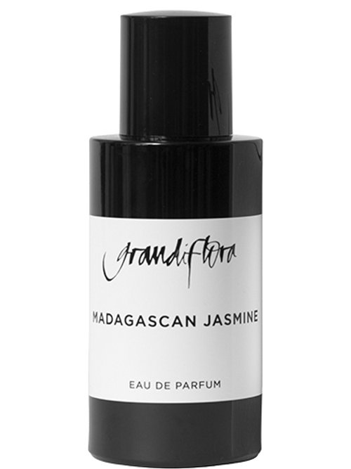 Madagascan Jasmine by Grandiflora