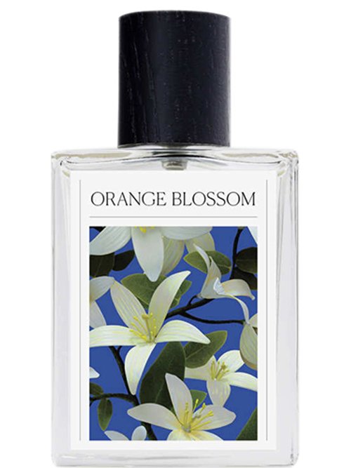 Orange Blossom The 7 Virtues by The 7 Virtues