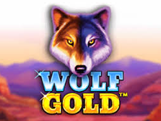 Wolf Gold