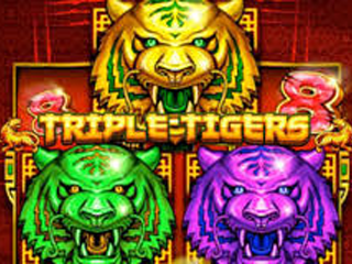 Triple Tigers