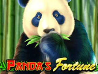 Panda's Fortune