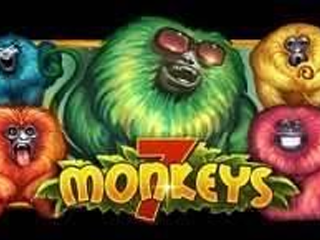7 Monkeys