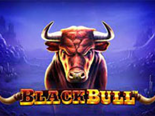Black Bull