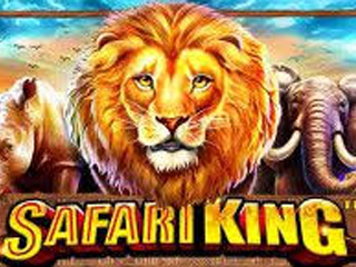 Safari King