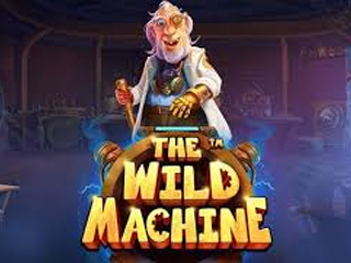 The Wild Machine
