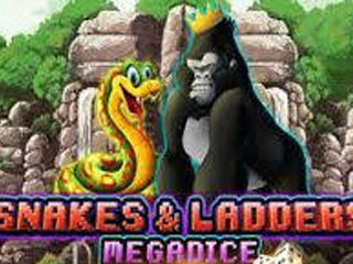 Snakes and Ladders Megadice™