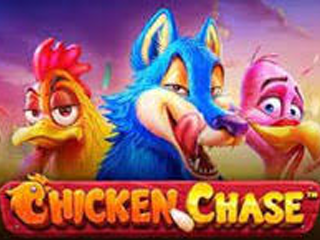 Chicken Chase