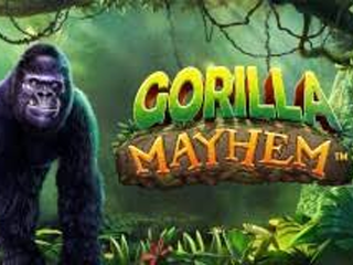Gorilla Mayhem