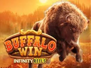 Buffalo Win