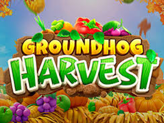 Groundhog Harvest