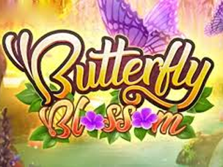 Butterfly Blossom
