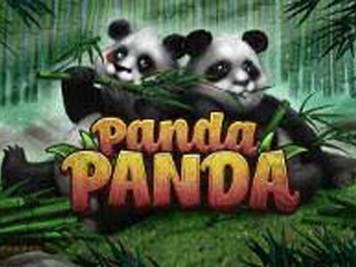Panda Panda