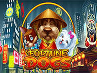 Fortune Dogs
