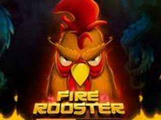 Fire Rooster