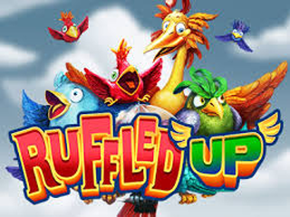 Ruffled Up