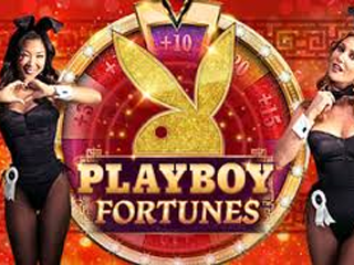 Playboy Fortunes