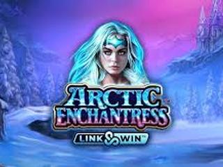 Arctic Enchantress