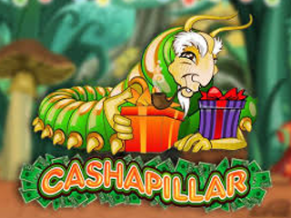 Cashapillar