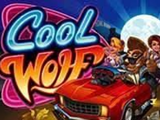 Cool Wolf
