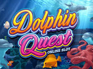 Dolphin Quest