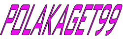 logo POLAKAGET99