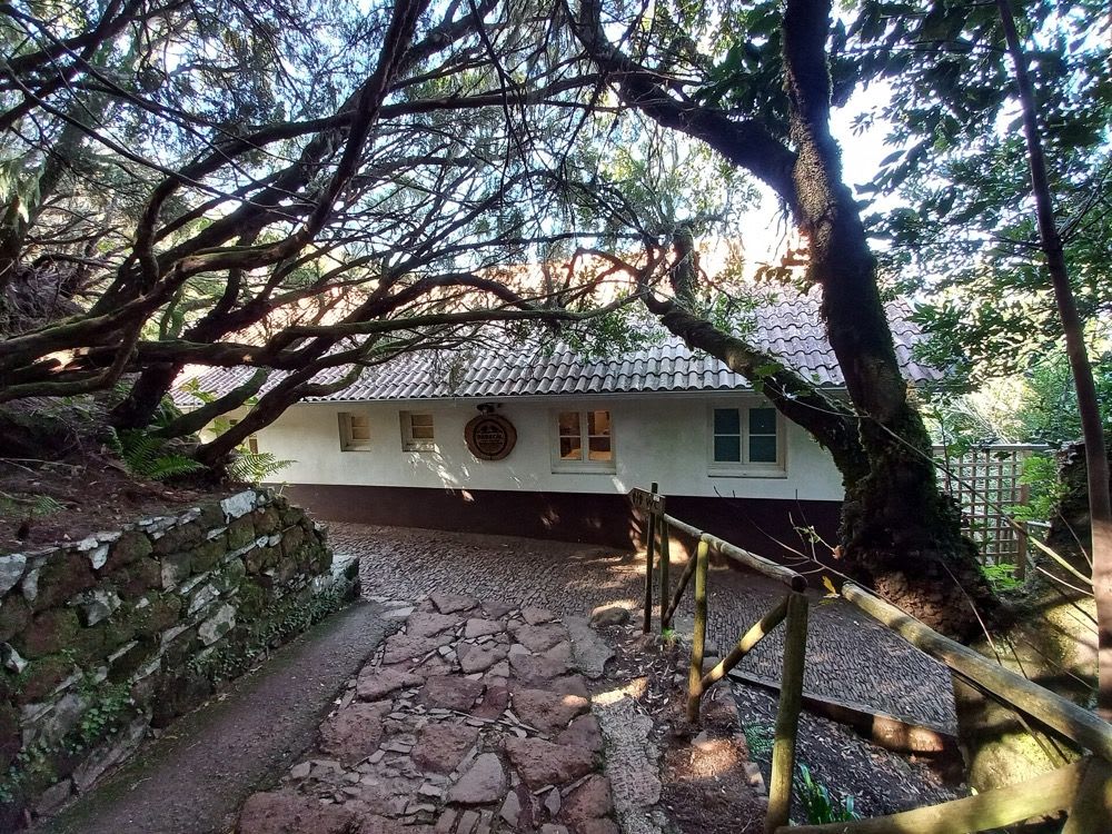 The forest path leading to the Casa do Rabaçal in Madeira