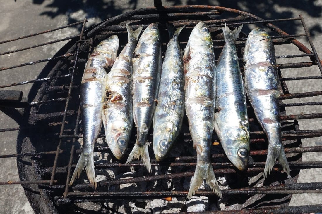 Fresh sardines grilling over charcoal, the icon of Lisbon's June Santo António festival