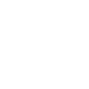 Harvard University